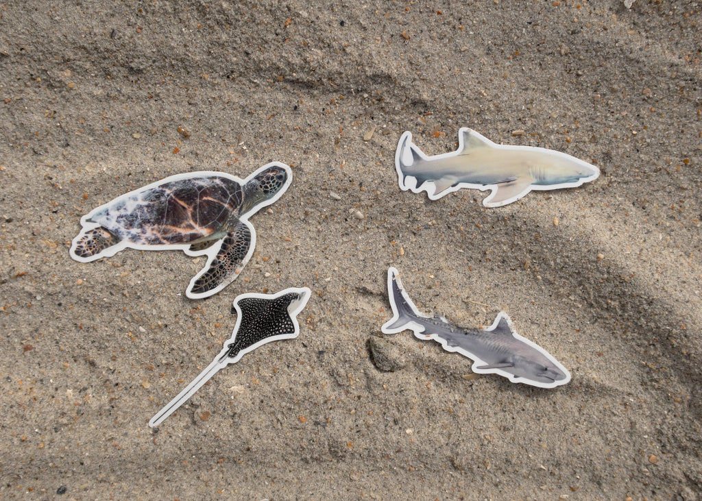 Photo Stickers: Last Chance Sale