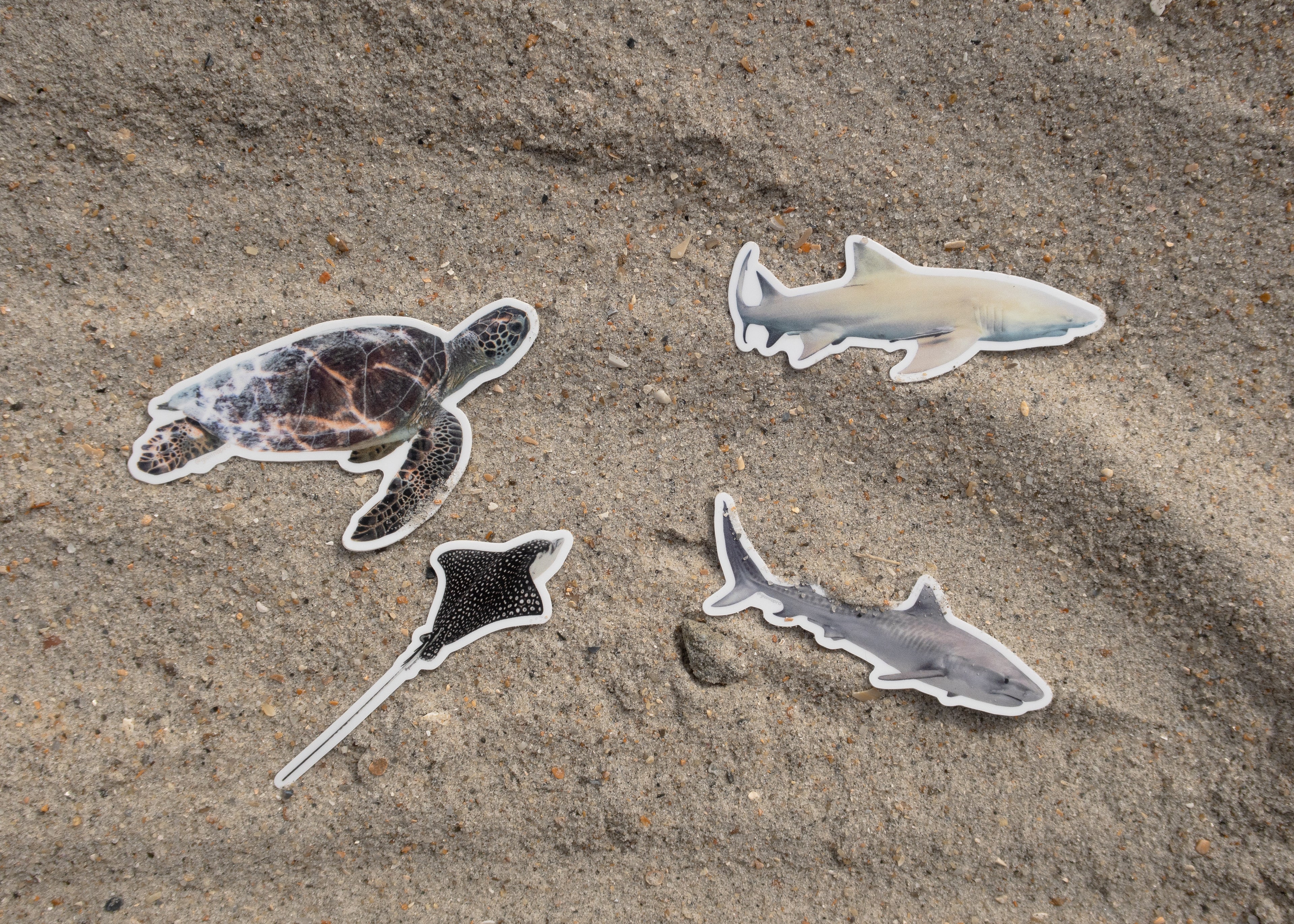 Photo Stickers: Last Chance Sale