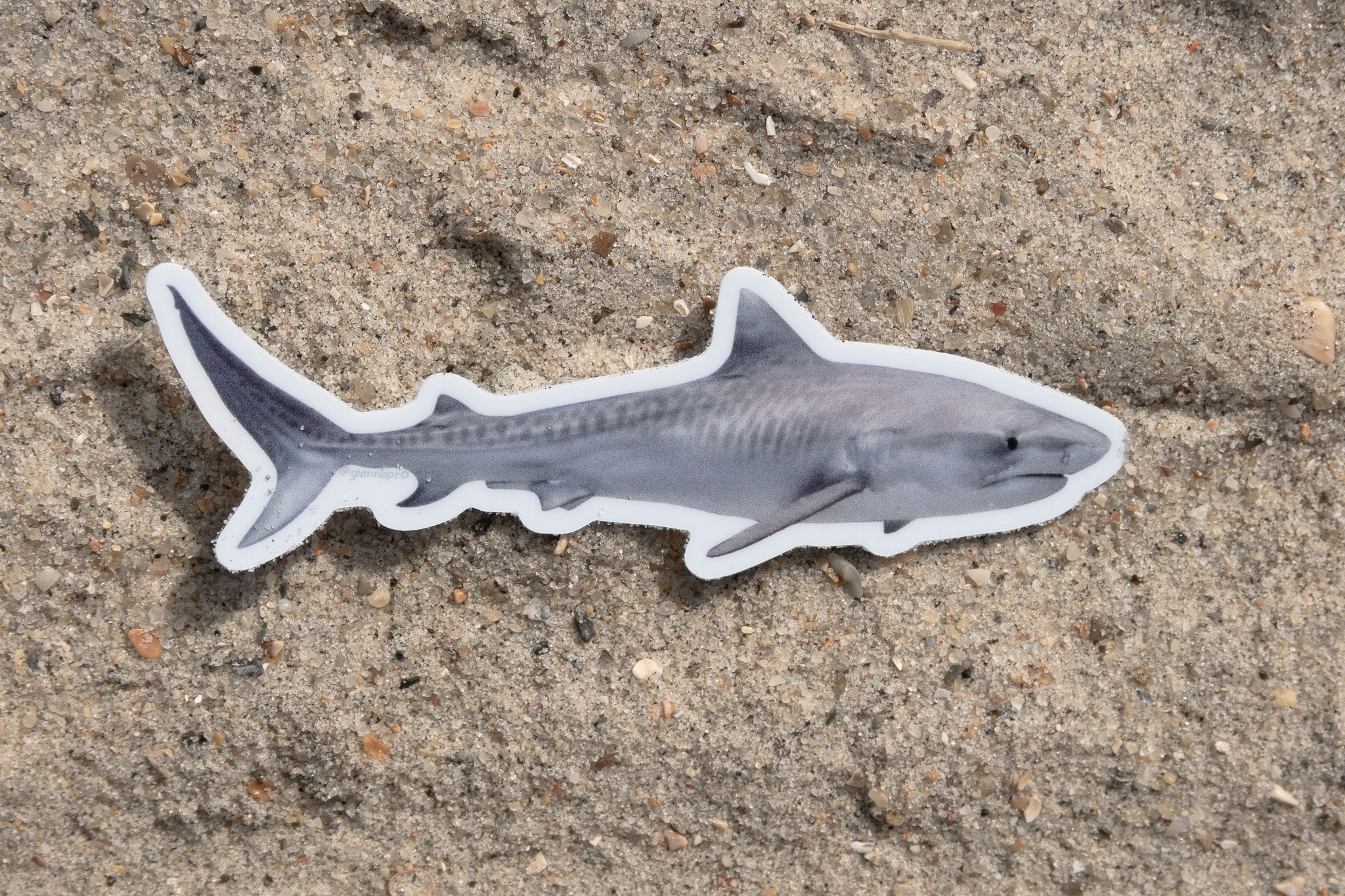 Photo Stickers: Last Chance Sale