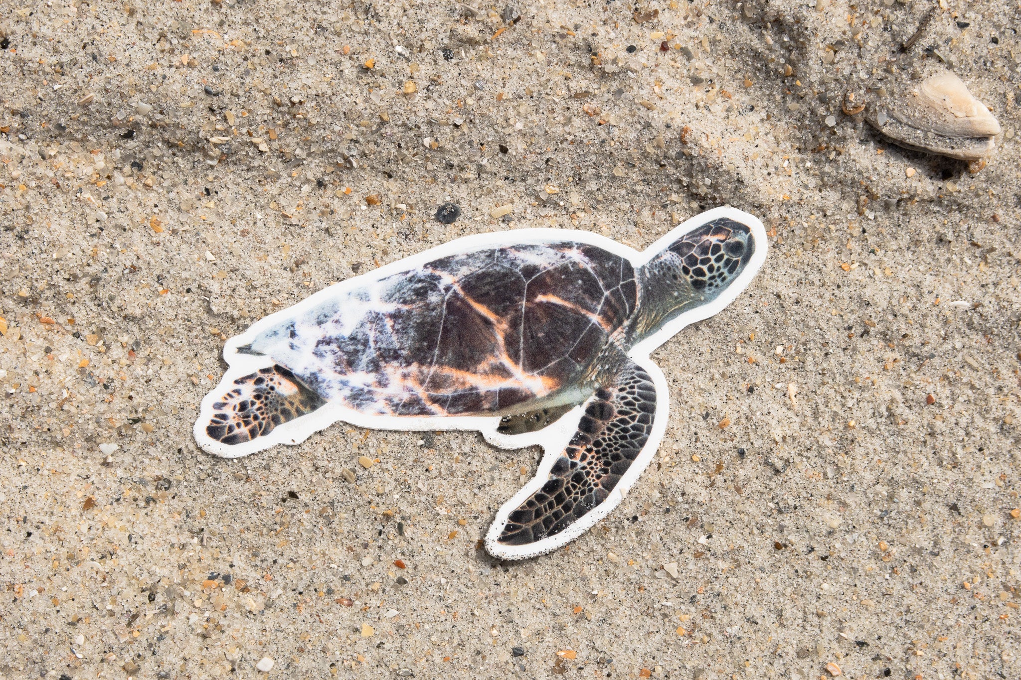 Photo Stickers: Last Chance Sale