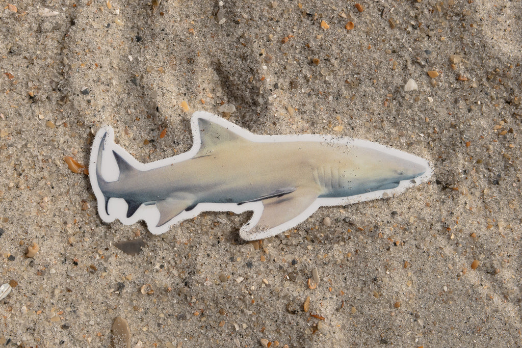 Photo Stickers: Last Chance Sale