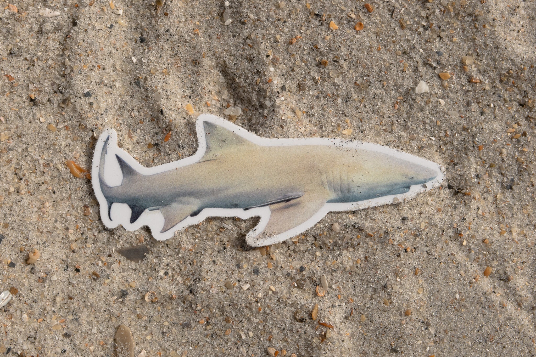 Photo Stickers: Last Chance Sale