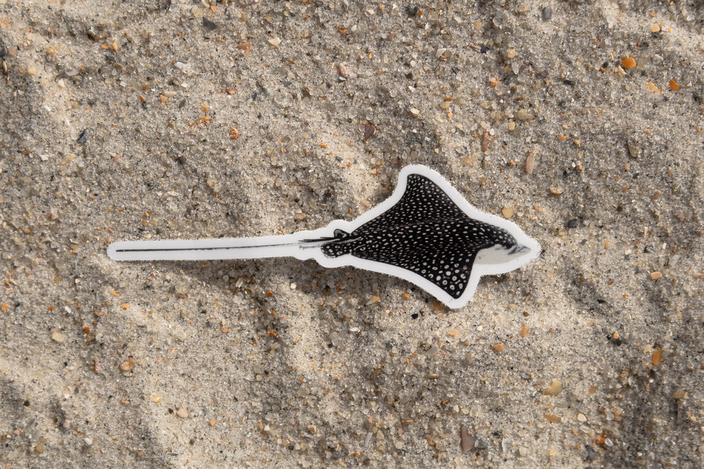 Photo Stickers: Last Chance Sale