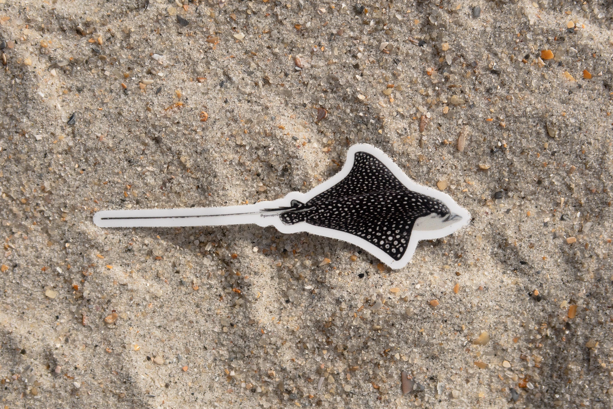 Photo Stickers: Last Chance Sale